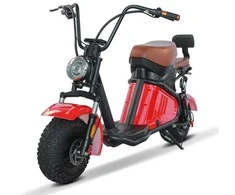 Elektrinis motoroleris Mini Citycoco CP-18