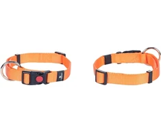 Flamingo DOG COLLAR ZIGGI Oranžinis 40-55CM 20MM