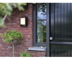 Lauko sieninis šviestuvas Philips Arbour, 6W, LED, IP44, pilkas, 7,5 cm x 22,1 cm
