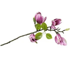 Artflow Dirbtinė magnolija 68 cm, violetinė