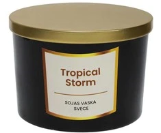 Artflow Sojų vaško žvakė 400g, Tropinė audra