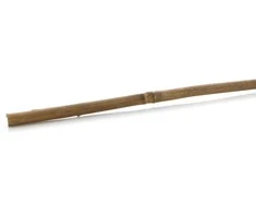 Auga atbalsts Garden Center, 60 cm, bambusa šķiedras, gaiši brūna