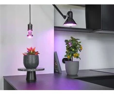 Augalų auginimo lemputė Osram LED, R63, 1300 °K, E27, 7.5 W, 140 lm