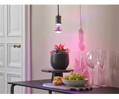 Augalų auginimo lemputė Osram LED, R63, 1300 °K, E27, 7.5 W, 140 lm
