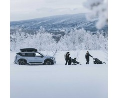 Automobilio stogo bagažinė Thule Motion 3 L, titano