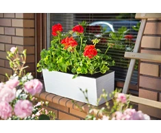 Lamela Skrzynka balkonowa BEGONIA LA627-05, Doniczka prostokątna 56x19 cm, Kolor Baltas, Lamela