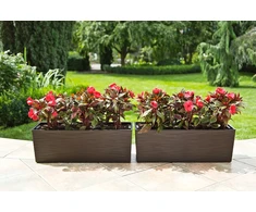 Lamela Lovinis vazonas Begonia Dluto, 56 x 19 cm