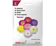 „Baltic Agro“ astrų sėklos „Aster Matador“, 6 g