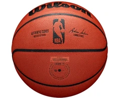 Basketbola bumba Wilson WTB7200XB, 7 dydis