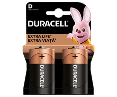 Duracell baterija D/MN1300 2 vnt.