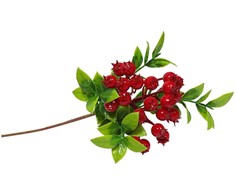 Besk Dekoratyvinės uogos kekėje 33cm, raudonos