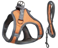 Besk Krūtinės diržas šunims, M dydis, 48-55 cm, oranžinis