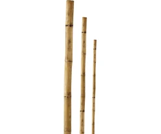 Besk Bambukinė atrama 210 cm Ruda