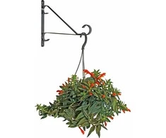 Besk Laikiklis gėlių vazonui Sieninis Metalo 25.4cm