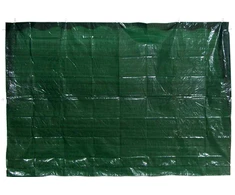 Besk Tentas sieninis 195x290cm žalias