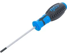 Grąžtas Bgs Technic Atsuktuvas | vidinis šešiakampis 4 mm | Ašmenų ilgis 100 mm (8629-5)
