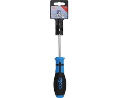 Grąžtas BGS Atsuktuvas Torx su kiauryme – T25 dydis – 100 mm ašmenų ilgis
