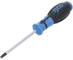 Grąžtas BGS Atsuktuvas Torx – T30 dydis – 100 mm ašmenų ilgis