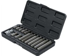 Grąžtas Bgs Technic Antgalių rinkinys | trumpas / ilgas | 10 mm (3/8") storio | T-Star (Torx) | 15 vnt. (5040)