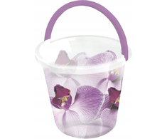 Branq Kibiras 10L, Orchidėjos