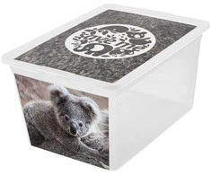 Branq Laikymo dėžė X box deco koala 30L Skaidri