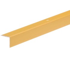Cezar Kampinis profilis briaunotas 20x20 mm, 1 m, auksinis