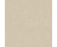 Jeger Gipso valiklis „PLASTER HUNTER STIUK CARMEL“ 2L