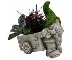 Garden Center Garden_Cente Dekoratyvinis vazonas "Nykštukas", 15.5 cm x 26 cm x 27 cm