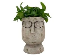 Dekoratīvais puķu pods "Seja" Garden Center NFQ2202043, 25 cm x 25 cm x 32 cm, pelēka