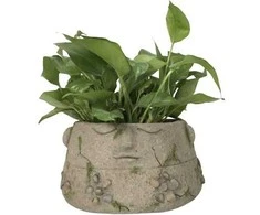 Dekoratīvais puķu pods "Seja" Garden Center NFQ210021Z, 31 cm x 31 cm x 15.5 cm, pelēka