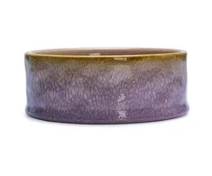 Desig By Lot Edycja Świętego Pawła BOWL FOR DOGS JACE Rožinis 16