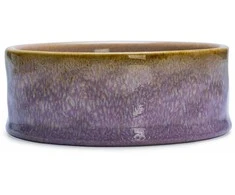 Edycja Świętego Pawła BOWL FOR DOGS JACE Rožinis 13.5