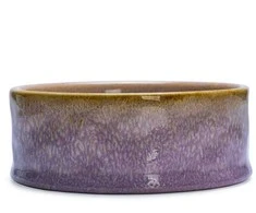 Edycja Świętego Pawła BOWL FOR DOGS JACE Rožinis 13.5