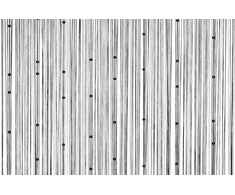 4Living Styginė užuolaida Pearl 90x200 cm juoda