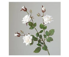 Domoletti Dirbtinė rožė balta 65CM