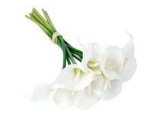Dirbtinės gėlės. kalijos Domoletti. balta. 32 cm 9vnt