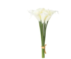 Dirbtinės gėlės. kalijos Domoletti. kreminė. 32 cm 9vnt