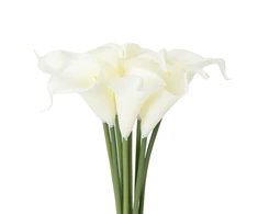 Dirbtinės gėlės. kalijos Domoletti. kreminė. 32 cm 9vnt
