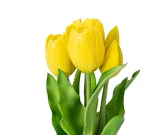 Tulip Domoletti dirbtinių gėlių puokštė tulpės 5 vnt. 32 CM