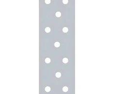 DMX Tvirtinimo juosta TM2/10 40x2.0 mm pločio 1 m