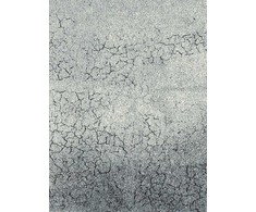 Domoletti CARPET 3545/WS22 1.6x2.3m