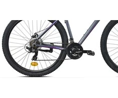 Dviratis kalnu Outliner, 29 ", pelēka/violeta