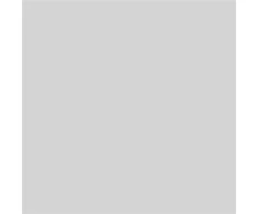 V33 PAINT BATHROOM PERF LIGHT Pilkas 2L
