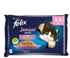 FELIX KONS ĖDAL KAT JUNIOR KONS.SU PAD 4X85G