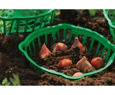 FORM PLASTIC Svogūninių gėlių daigykla 23