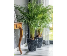 FORM PLASTIC Vazonas Flow 30cm 15,5L Juodas