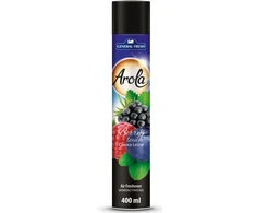 Gaisa atsvaidzinātājs General Fresh, 0.4 l