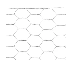 Garden Cente Tinklas Hexagonal. 25 x 25 x 0.8 mm. 50 cm. 10 m. cinkuota