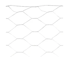 Cavatorta Šešiakampio tinklelio galv 1.0X50X50X1000MM 10M