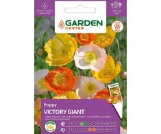 Garden Center granato „VICTORY GIANT“ sėklos, 0,5 g